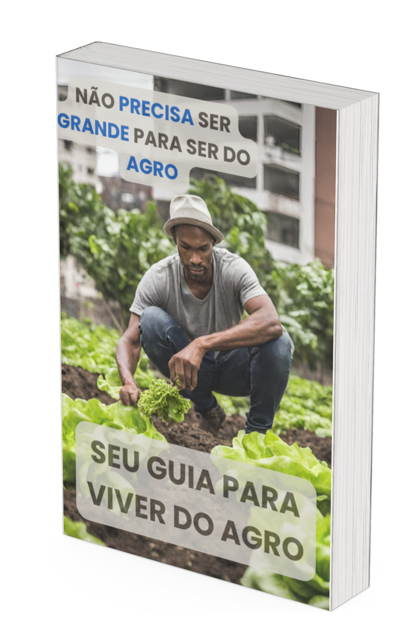 capa guia para viver do agro