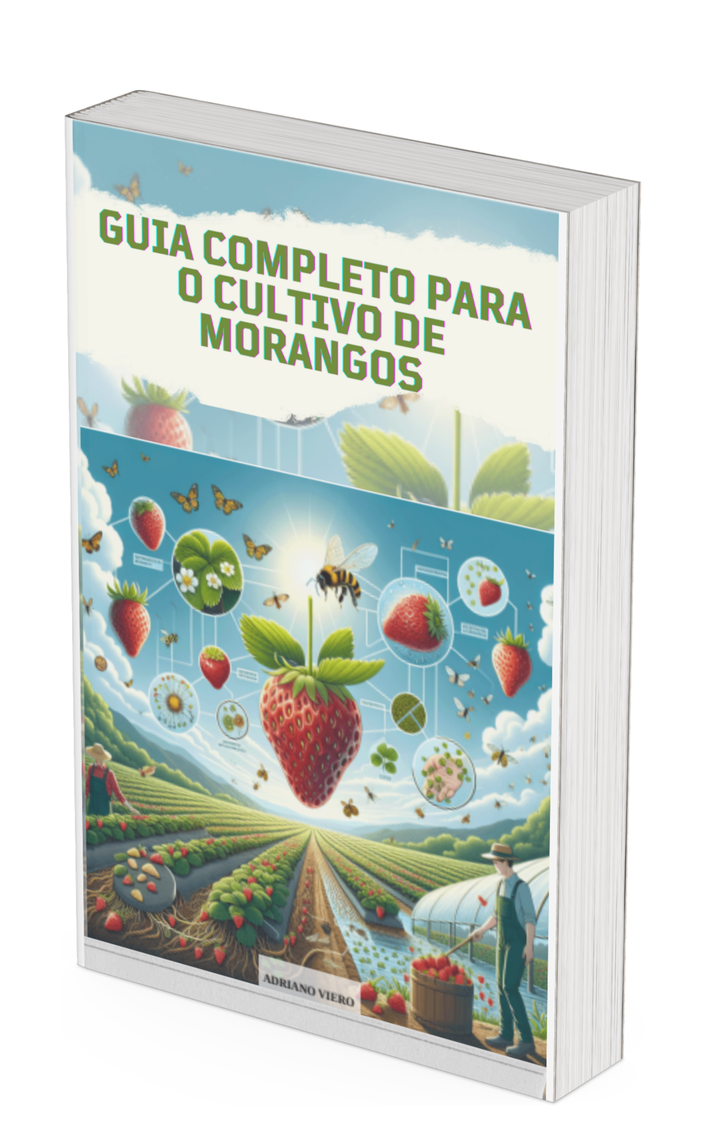 capa plantio de morango