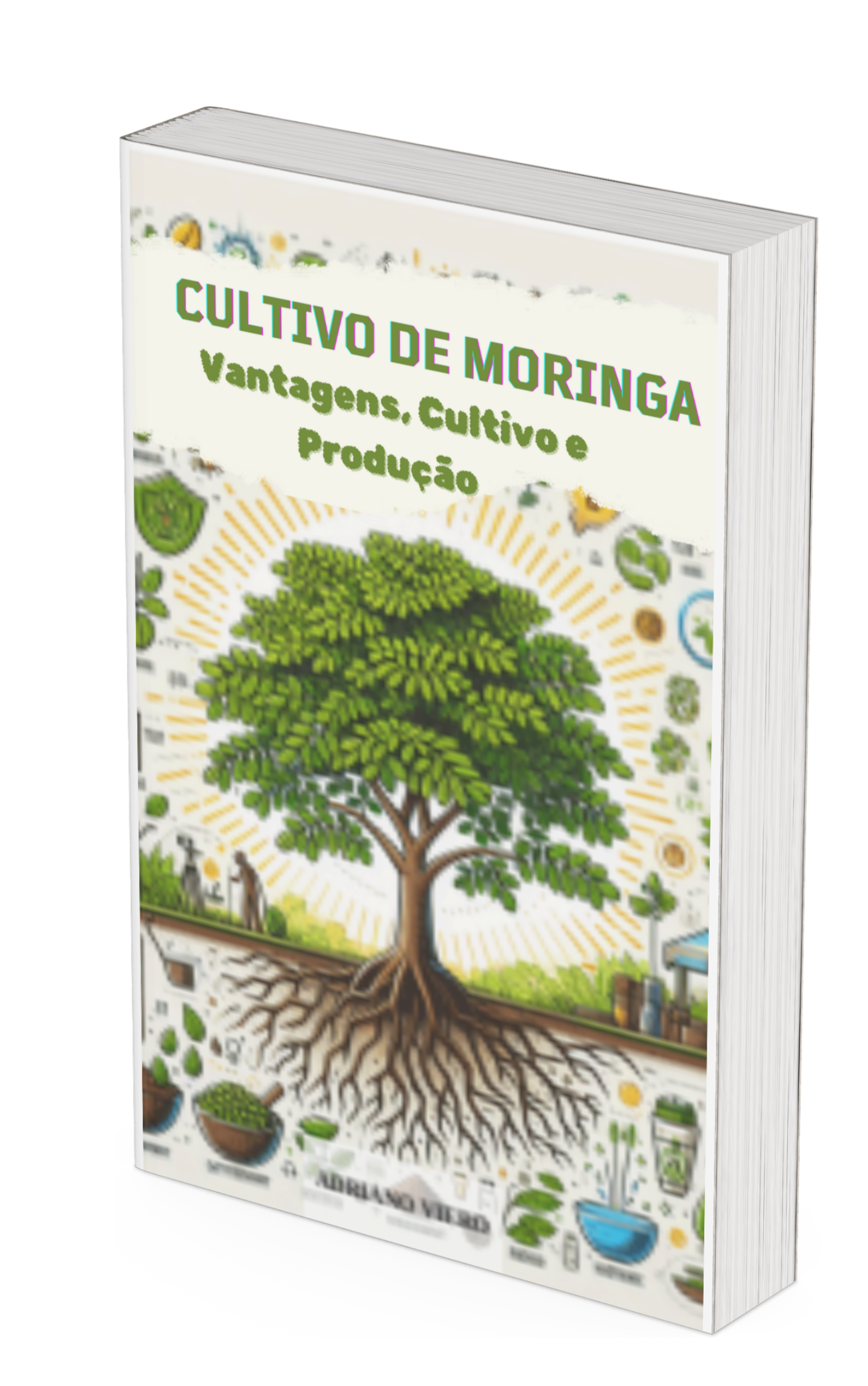 capa plantio de moringa