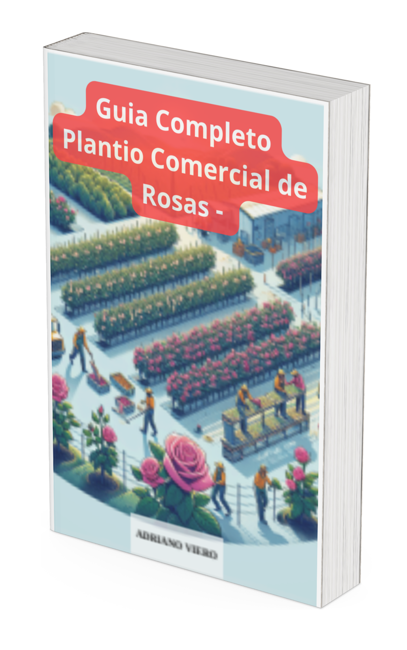 capa plantio de rosas